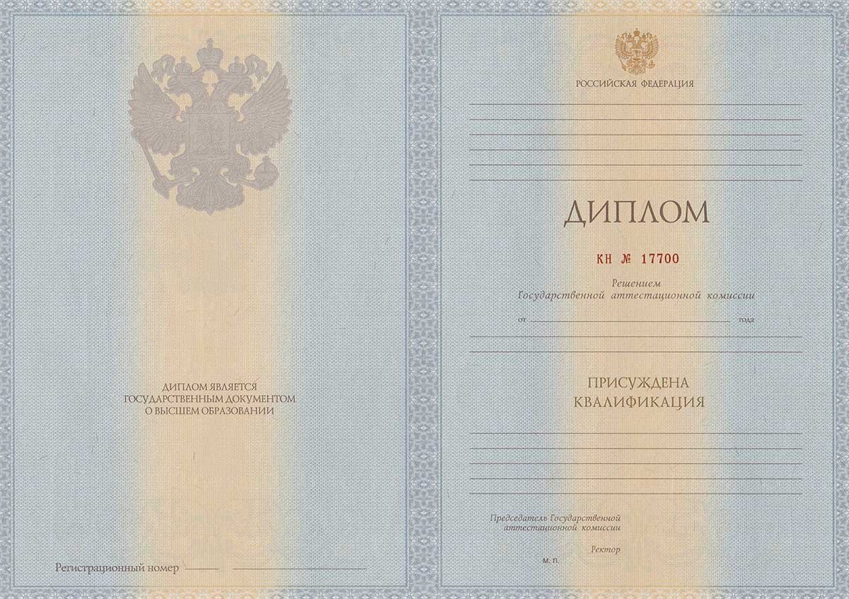 Диплом специалиста 2011-2013 год 